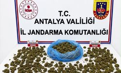 Alanya'da uyuşturucu operasyonunda 4 şüpheli yakalandı