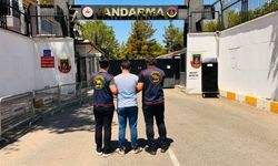 Diyarbakır'da çeşitli suçlardan aranan 113 kişi yakalandı