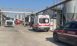 Tavuk Çiftliğinde Korkutan Yangın! 12 Bin Tavuk Telef Oldu