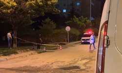 Kayseri Melikgazi'deki Parkta Çıkan Bıçaklı Kavgada 2 Kişi Yaralandı!
