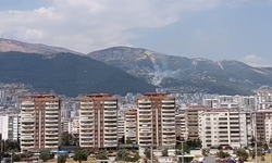 Ahır Dağında yangın!