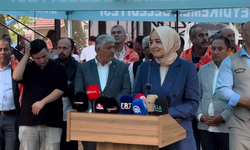 Muğla'da 33. Yayla Seki Yağlı Pehlivan Güreşleri Düzenlendi