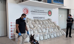 Hamzabeyli Sınır Kapısı’nda Dev Uyuşturucu Operasyonu: Tırda 287 Kilo Esrar Yakalandı!