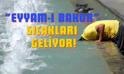 Türkiye'yi Kavuracak Sıcaklar İçin Tarih Verildi: Eyyam-ı Bahur Sıcakları Ne Zaman Başlıyor?
