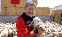 Hayvancılıkta Yeni Dönem Başlıyor! Bakan Yumaklı Duyurdu: Her Hayvana Dijital Kimlik Geliyor