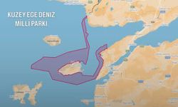 Türkiye’nin İlk Deniz Milli Parkları İlan Edildi: 2 Milyon 344 Bin Hektarlık Deniz Alanı Koruma Altına Alındı