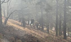 Kahramanmaraş'ta 8 farklı alanda çıkan orman yangınları söndürüldü