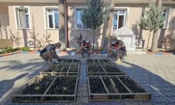 Hatay'da Traktör Römorkunda 2 Bin 114 Saka Kuşu Bulundu, Rekor Ceza Kesildi!