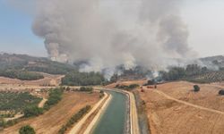 Adana'da 3 İlçeyi Etkisi Altına Alan Orman Yangını Kontrol Altına Alındı
