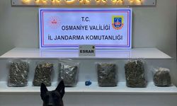 Osmaniye'de Jandarmadan Yayla Evine Baskın: 2 Kilo 800 Gram Esrar Yakalandı!