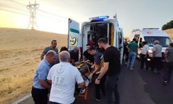 Adıyaman'da iki otomobilin çarpıştığı kazada 8 kişi yaralandı