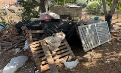 Antalya'da Aranan 6 Yaşındaki Çocuk Karton Yığınları Arasında Uyurken Bulundu!