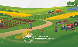 Tarım Bakanlığı Açıkladı: Dekar Başına Destek Miktarı Yükseldi