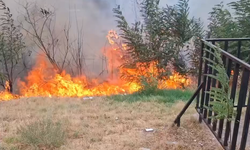 Tekerek Mahallesi’nde Ormanlık Alanda Çıkan Yangına Ekipler Müdahale Etti
