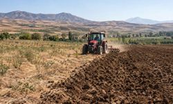 Tarım Arazileri Sezonluk Kiraya Veriliyor: Başvuru Şartları ve Detaylar Neler?