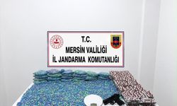 Mersin'de 64 bin 175 uyuşturucu hap ele geçirildi