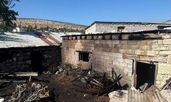 Mersin'de yangın çıkan ağıldaki 5 keçi telef oldu