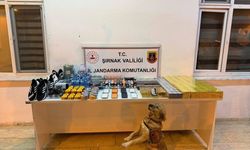 Şırnak'ta kaçakçılık ve asayiş operasyonlarında 196 şüpheli hakkında işlem yapıldı