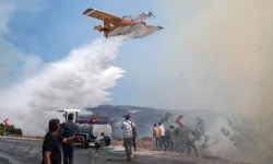 Orman yangınlarına ilişkin soruşturmalarda tespit edilen 70 şüpheliden 16'sı tutuklandı
