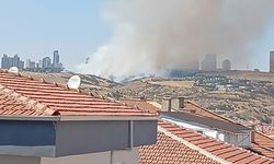 Dereli'de Çıkan Yangın Kontrol Altına Alındı