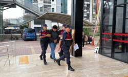Alanya'da Kuşlara İşkence Yapıp Sosyal Medyada Paylaşan Zanlı Tutuklandı!
