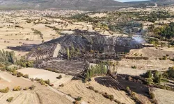 Kütahya’da çıkan yangında 7 hektar alan zarar gördü