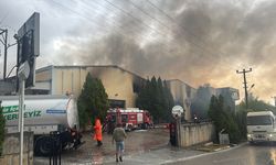 Mersin Organize Sanayi Bölgesi’nde Tütün ve Makaron Tesisinde Yangın Paniği! Ekipler Müdahale Ediyor