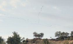 Göç Yolu Üzerinde Görsel Şölen! Tam 239 Kuş Türü Kahramanmaraş Üzerinden Akın Etti