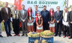 Bertiz’de Asırlık Gelenek Yaşatıldı! Coğrafi İşaretli Kabarcık Üzümü İçin Bağ Bozumu Şenliği