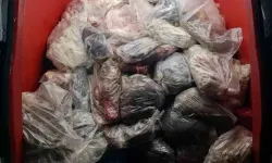 Vatandaşın Sağlığıyla Böyle Oynayacaklardı! Diyarbakır’da 8 Ton Bozulmuş Sakatat Ele Geçirildi