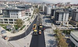 Hükümet Bulvarı’nın Asfaltı Yenileniyor