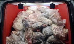 Diyarbakır'da Jandarmadan Gıda Operasyonu: 820 Kilo Sağlıksız Sakatat Ele Geçirildi!