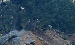 Kahramanmaraş’ta Yol Kenarında Erkek Cesedi Bulundu