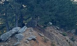 Kahramanmaraş’ta Yol Kenarında Erkek Cesedi Bulundu