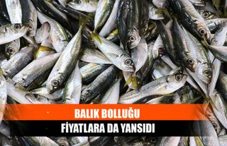 Balık Bolluğu Fiyatlara Da Yansıdı