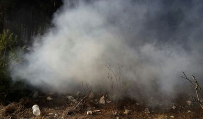 Orman Yangınına Dakikalar İçinde Müdahale