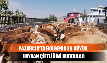 Pazarcık’ta Bölgenin En Büyük Hayvan Çiftliğini Kurdular
