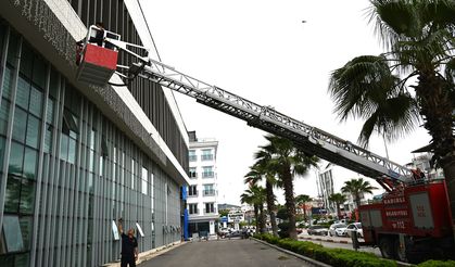 Osmaniye'de belediye binasına yuva yapan kırlangıçların güvenliği itfaiyeye emanet