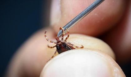 Keneden Bulaşan Ölümcül Hastalık: KKKA Nedir, Nasıl Korunulur?