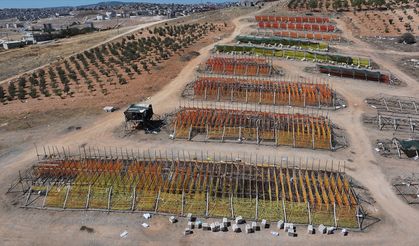 Gaziantep'te kurutmalık sezonunda tepeler kırmızı, mor ve yeşile büründü