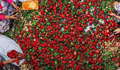 Kahramanmaraş’ın Bereketli Toprakları