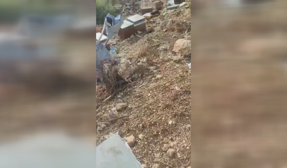 Kahramanmaraş’ta Arı Kovanlarına Ayı Saldırdı: Bal Stokları Tahrip Oldu