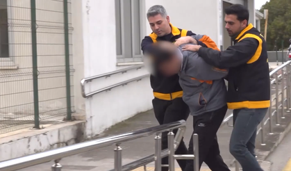 2 Kediyi Kamyonetiyle Ezen Sürücüye Emsal Karar: 1 Ay Barınakta Çalışacak