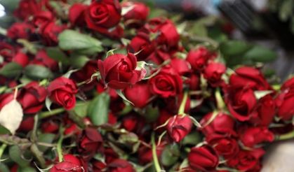 Çiçekçilerde 14 Şubat Mesaisi Başladı! Kırmızı Güllerin Adedi Ne Kadar?