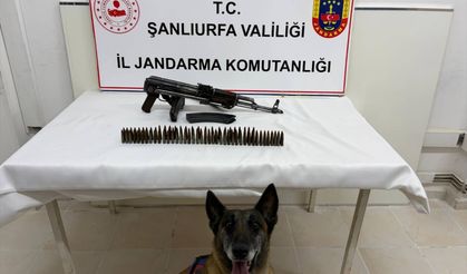 Şanlıurfa'da silah kaçakçılığı operasyonunda 1 şüpheli yakalandı