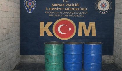 Şırnak'ta kaçakçılık ve asayiş operasyonlarında 2 zanlı tutuklandı