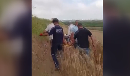 Adana'da tarlaya devrilen otomobildeki 1 kişi öldü, 1 kişi yaralandı