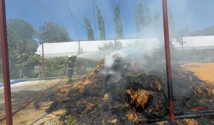 Kaş'ta çıkan orman yangını kontrol altına alındı