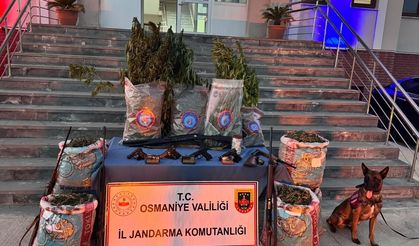 Osmaniye'de dron destekli uyuşturucu operasyonunda 4 şüpheli yakalandı
