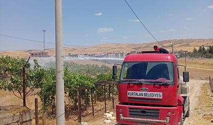 Siirt'te iki ayrı noktada çıkan yangınlar söndürüldü